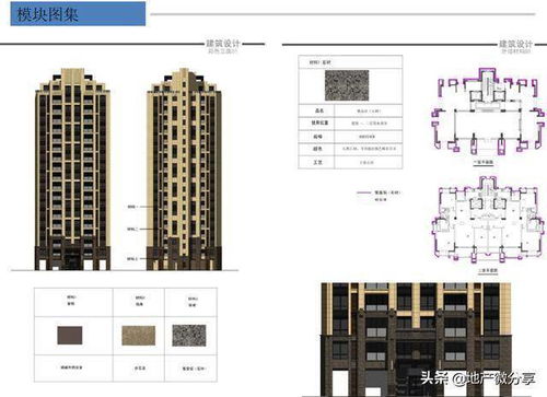 標桿房企產品線深度解析 67頁課件助力房地產經紀專業提升